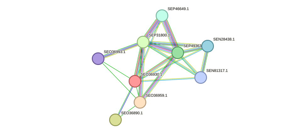 STRING protein interaction network