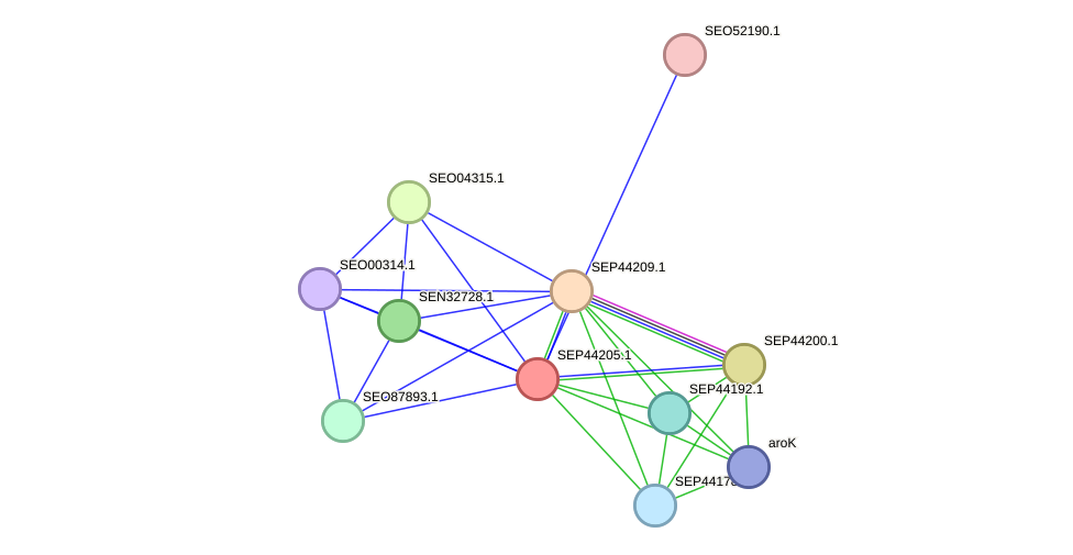 STRING protein interaction network