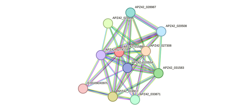 STRING protein interaction network