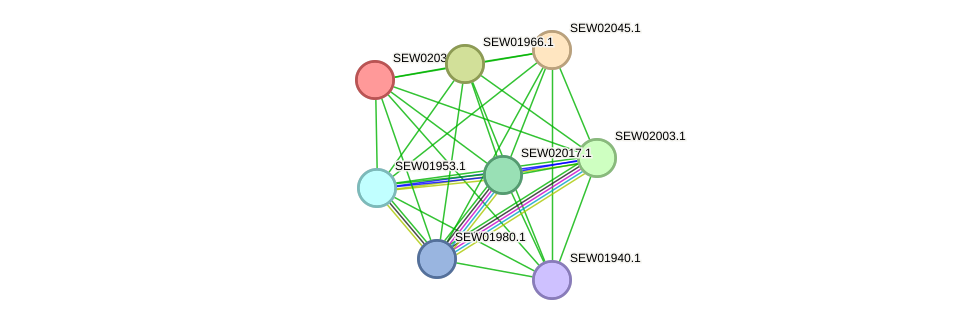 STRING protein interaction network