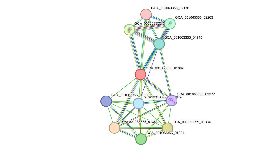 STRING protein interaction network