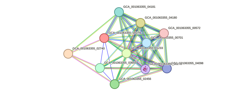 STRING protein interaction network