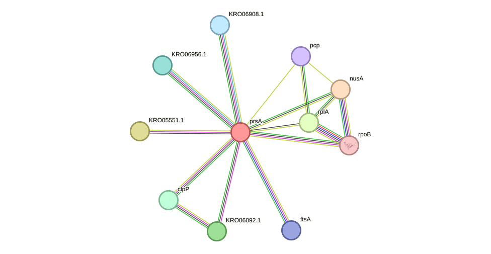 STRING protein interaction network