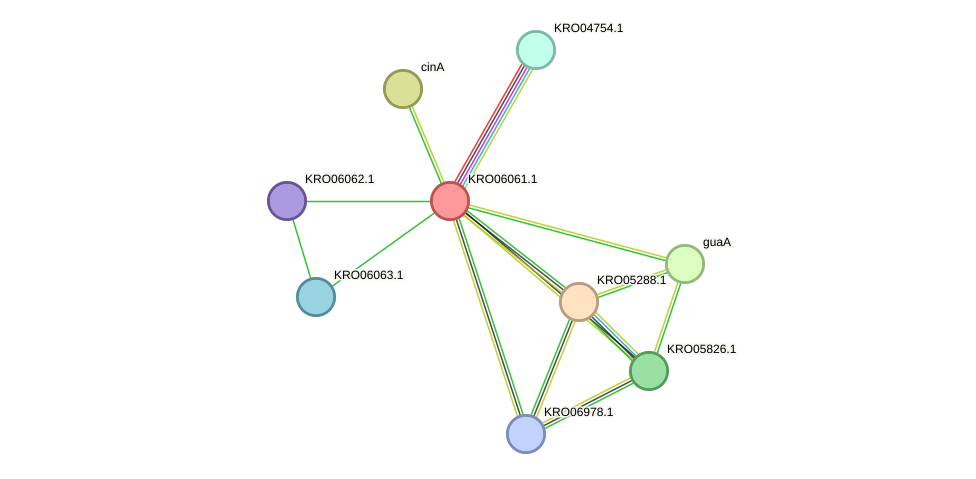 STRING protein interaction network