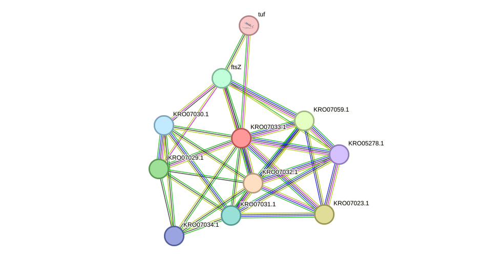 STRING protein interaction network