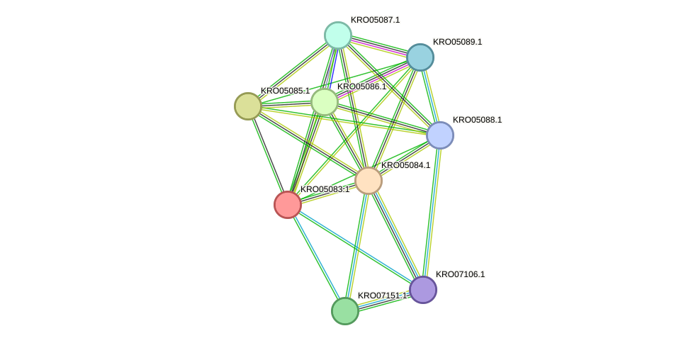 STRING protein interaction network