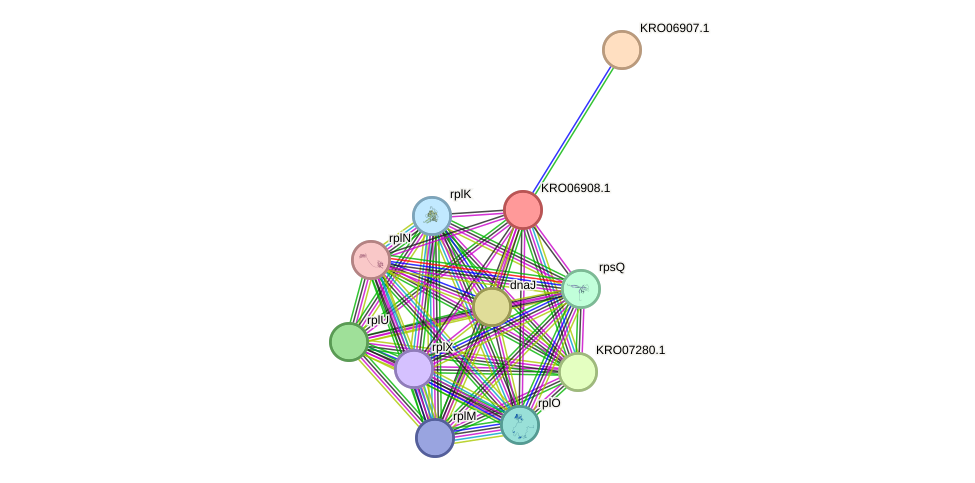 STRING protein interaction network