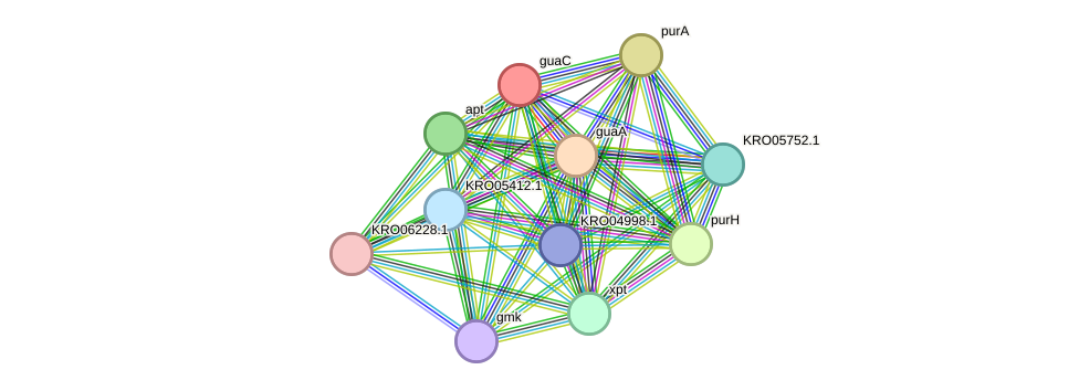 STRING protein interaction network