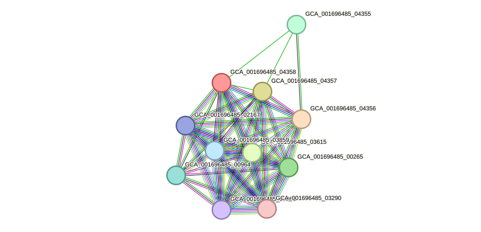 STRING protein interaction network