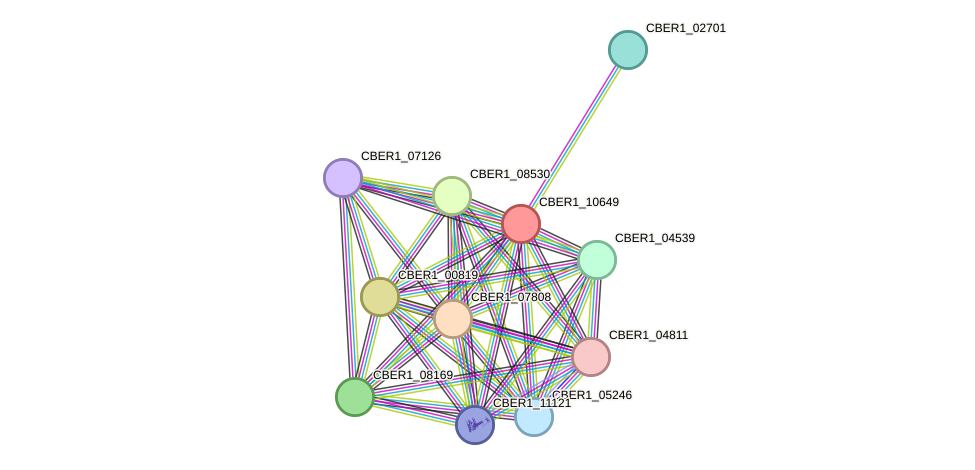 STRING protein interaction network