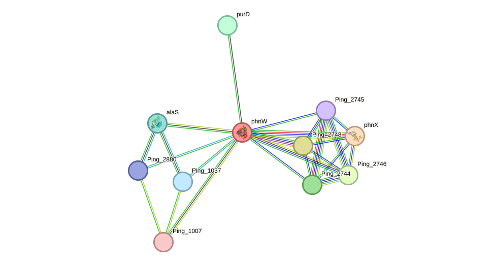 STRING protein interaction network