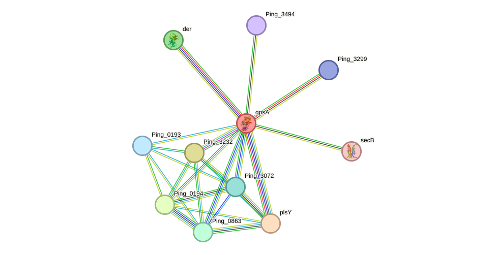 STRING protein interaction network