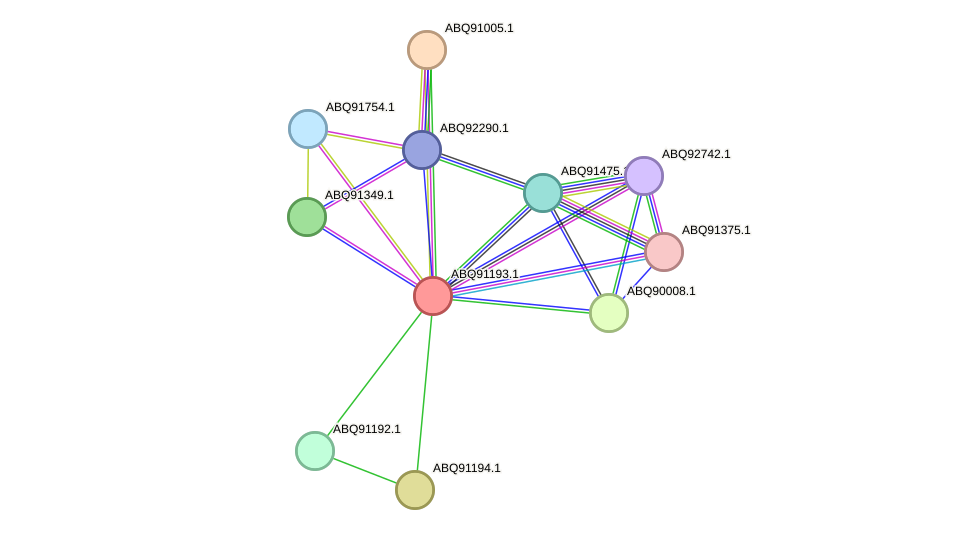 STRING protein interaction network