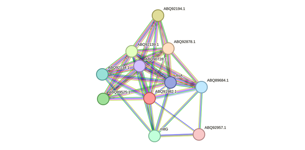 STRING protein interaction network