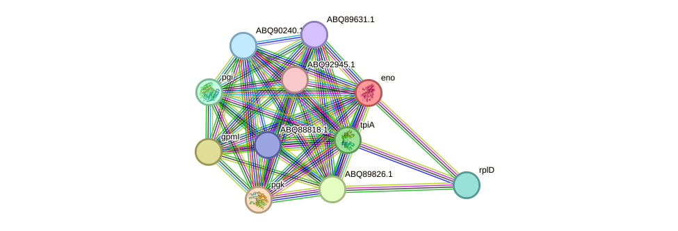 STRING protein interaction network