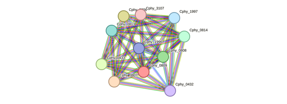 STRING protein interaction network