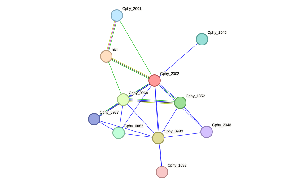 STRING protein interaction network