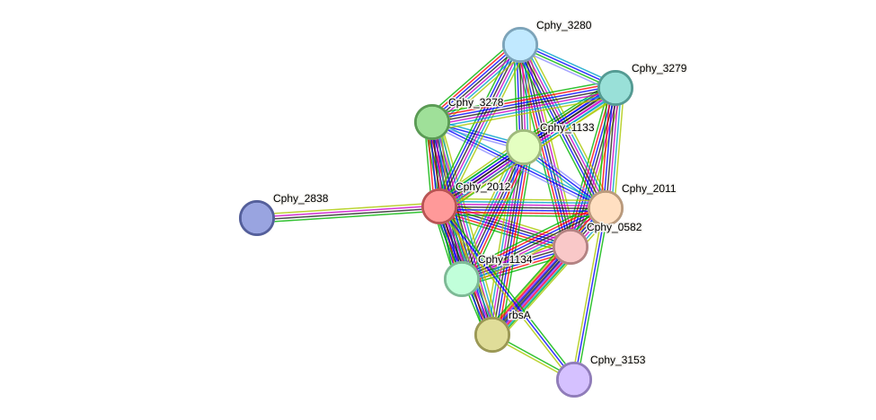 STRING protein interaction network