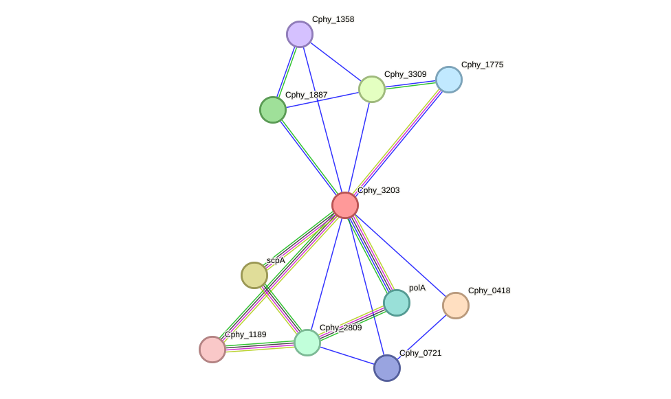 STRING protein interaction network