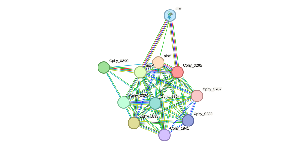 STRING protein interaction network