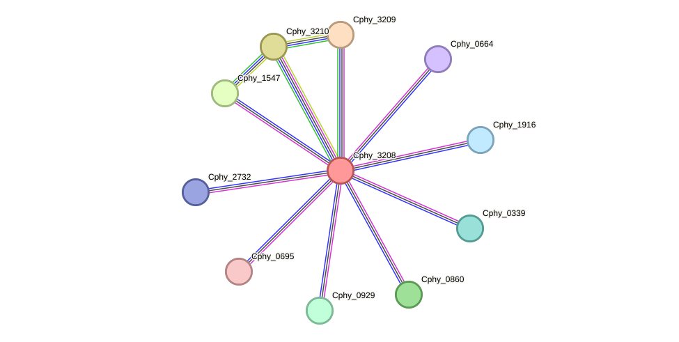 STRING protein interaction network