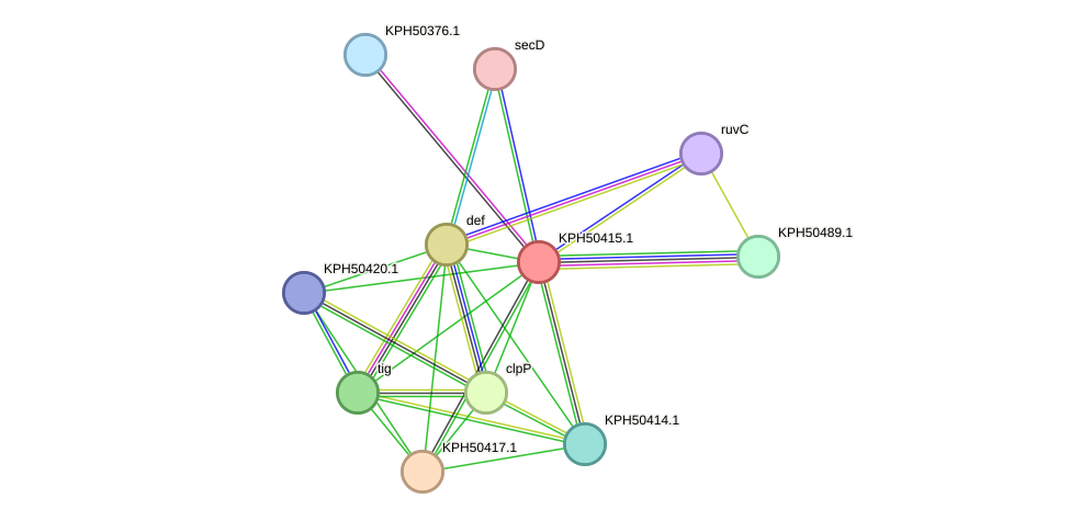 STRING protein interaction network