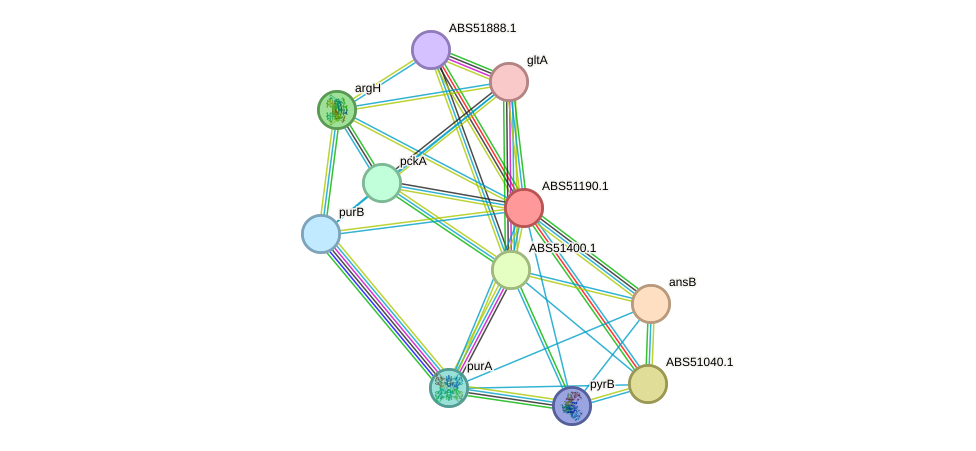 STRING protein interaction network