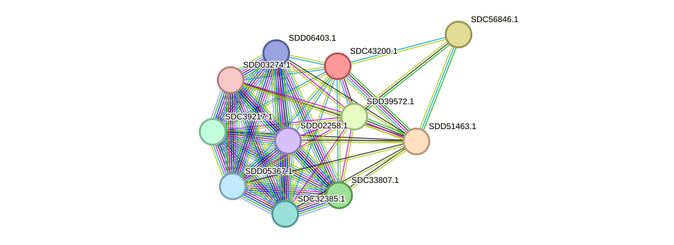 STRING protein interaction network