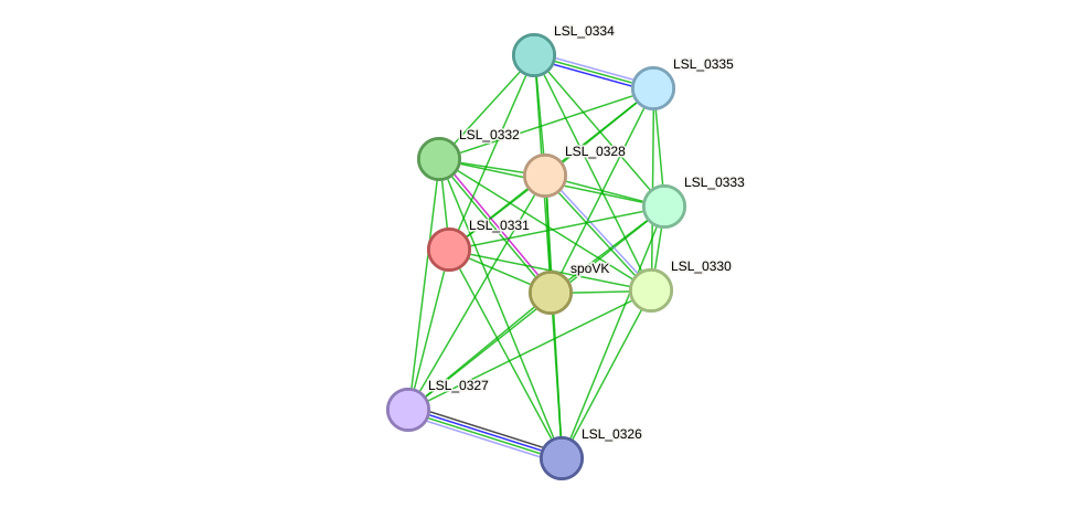 STRING protein interaction network