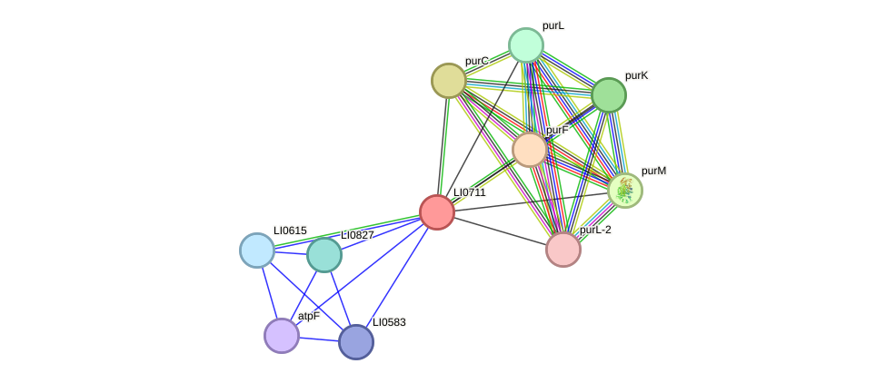 STRING protein interaction network