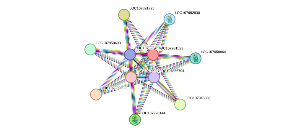 STRING protein interaction network