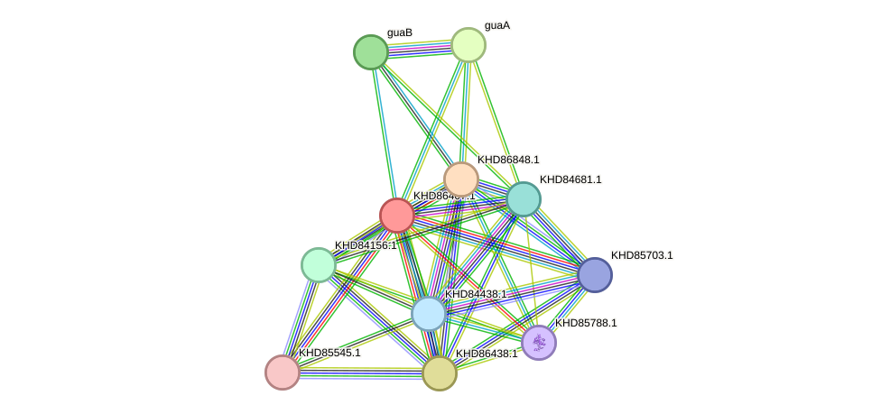 STRING protein interaction network