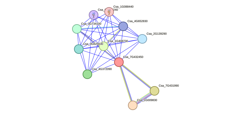 STRING protein interaction network