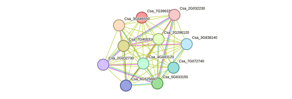 STRING protein interaction network