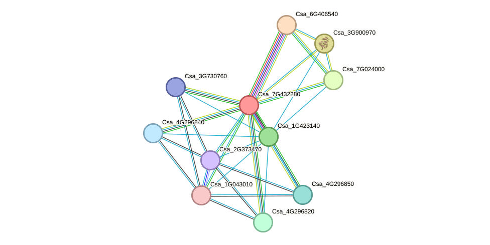 STRING protein interaction network