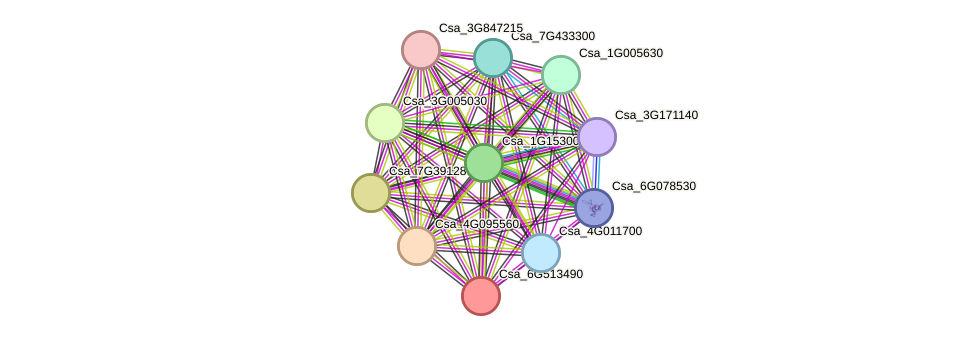 STRING protein interaction network