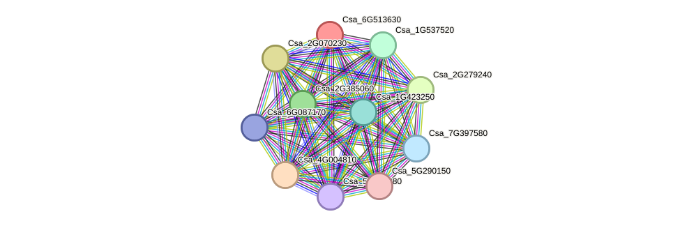 STRING protein interaction network