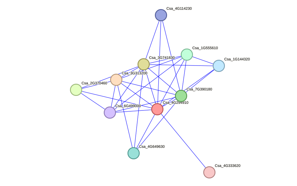 STRING protein interaction network