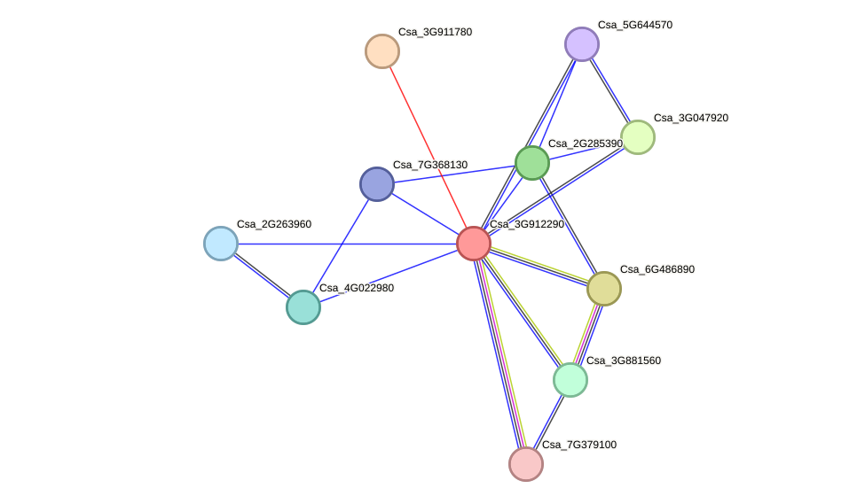 STRING protein interaction network