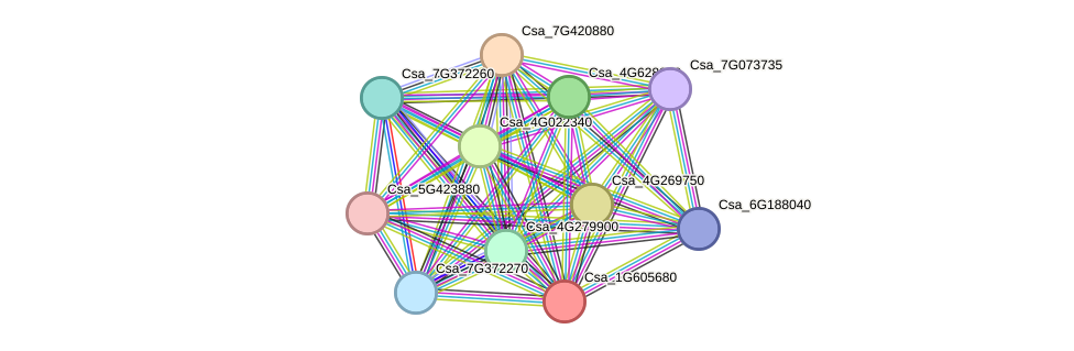 STRING protein interaction network