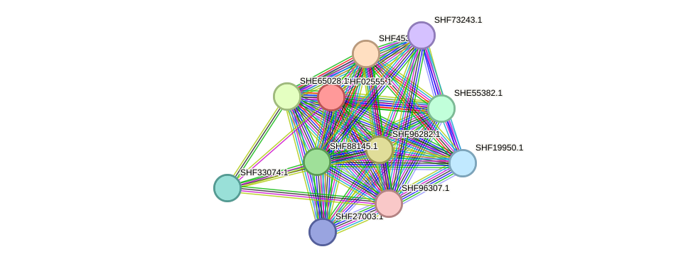 STRING protein interaction network