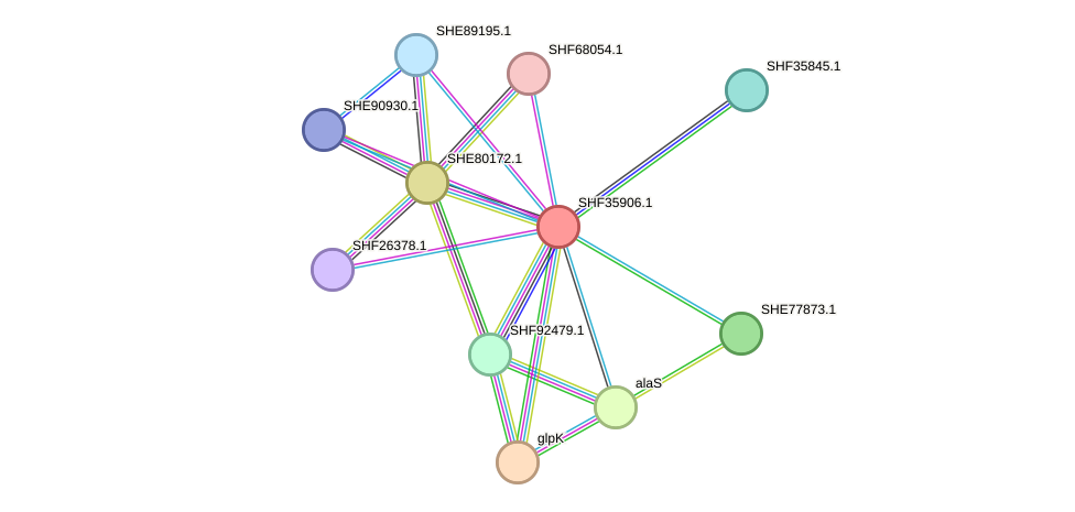 STRING protein interaction network