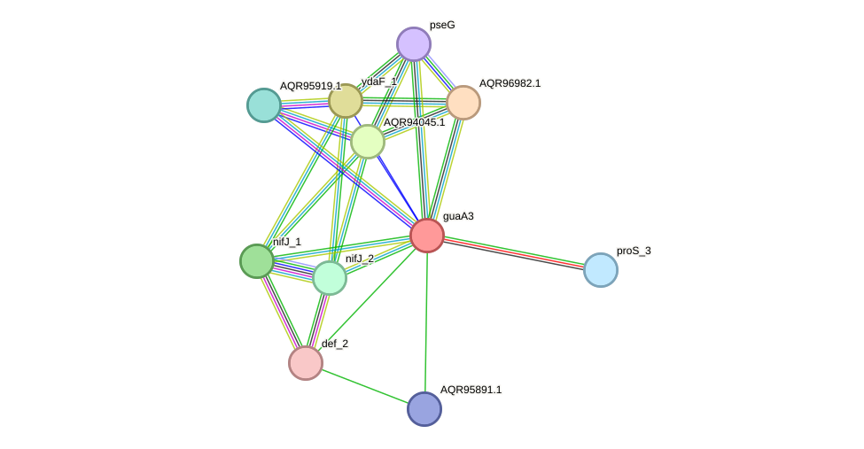 STRING protein interaction network