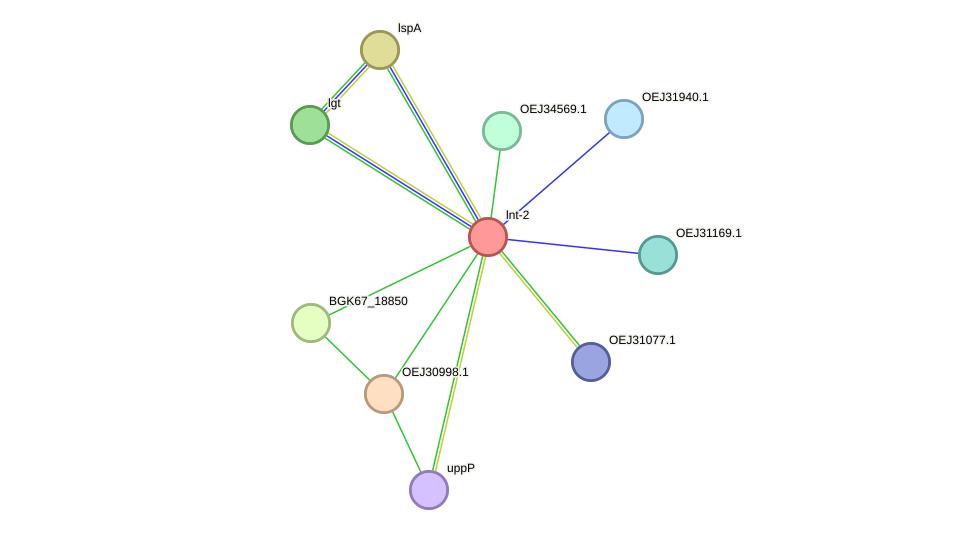 STRING protein interaction network