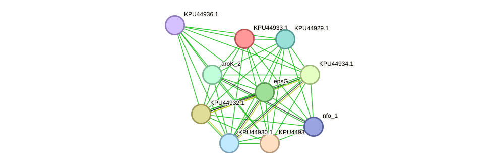 STRING protein interaction network