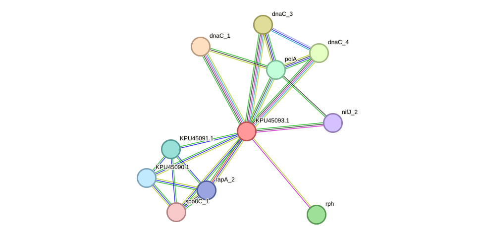 STRING protein interaction network