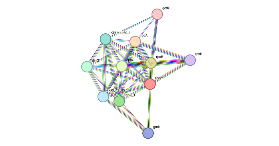 STRING protein interaction network