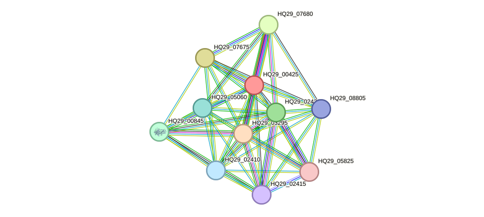 STRING protein interaction network