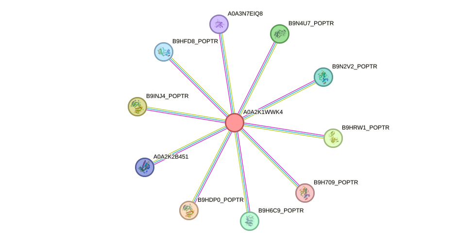 STRING protein interaction network