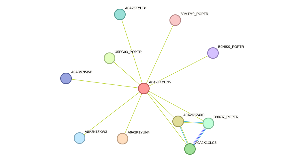 STRING protein interaction network